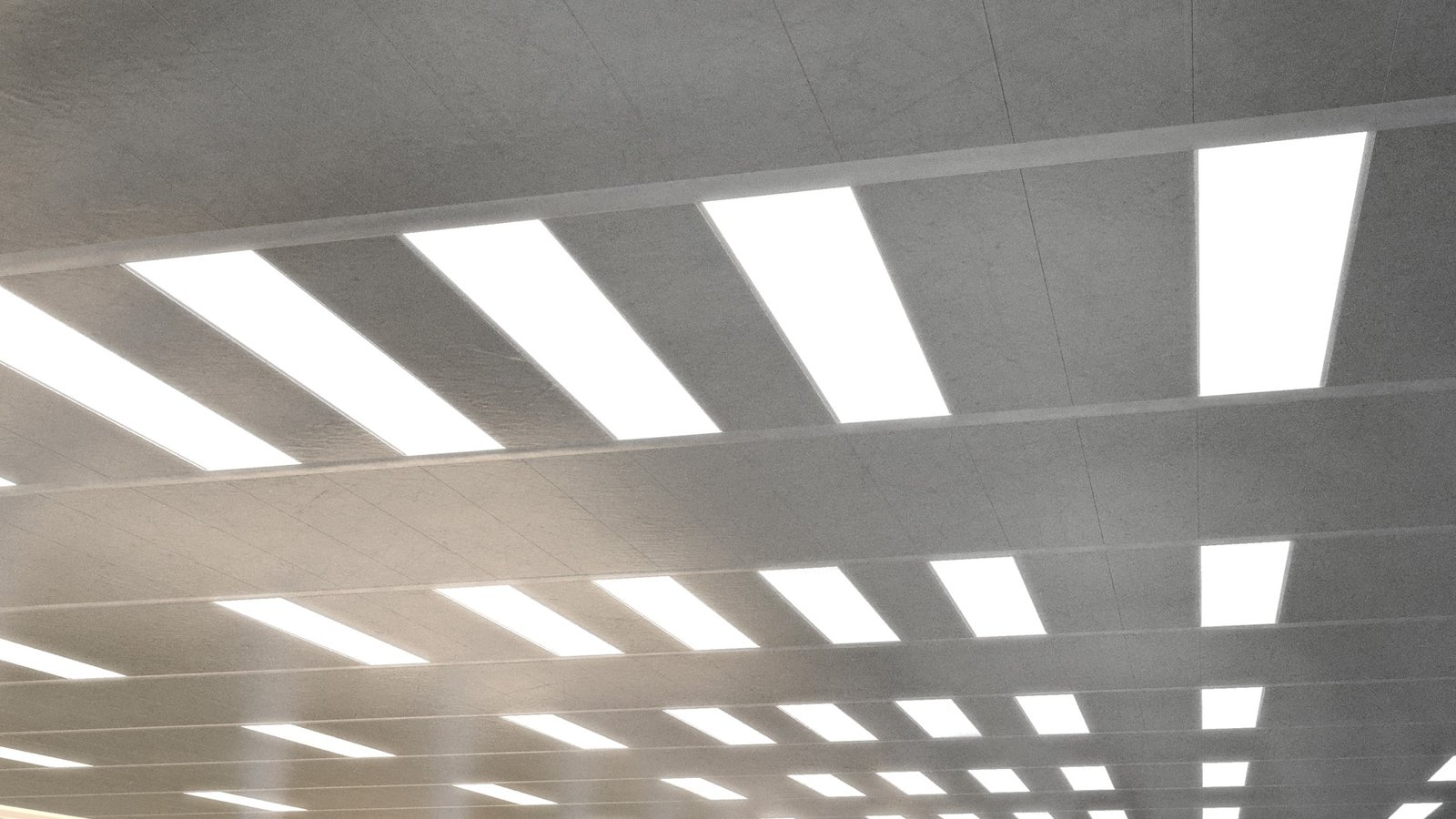 Softline